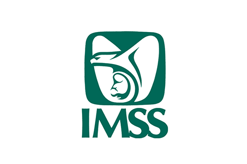 partner-logo-imss